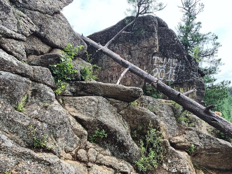 Диана Полякова