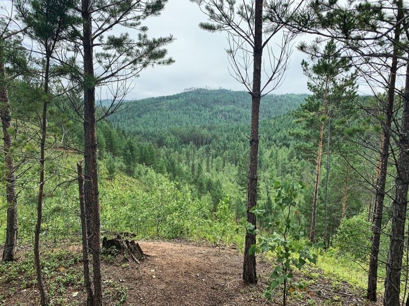 Диана Полякова