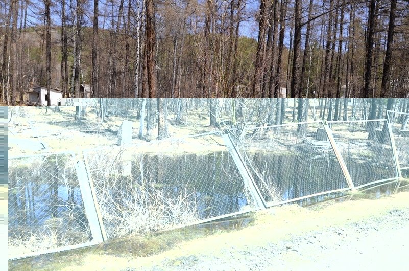 Андрей Козлов