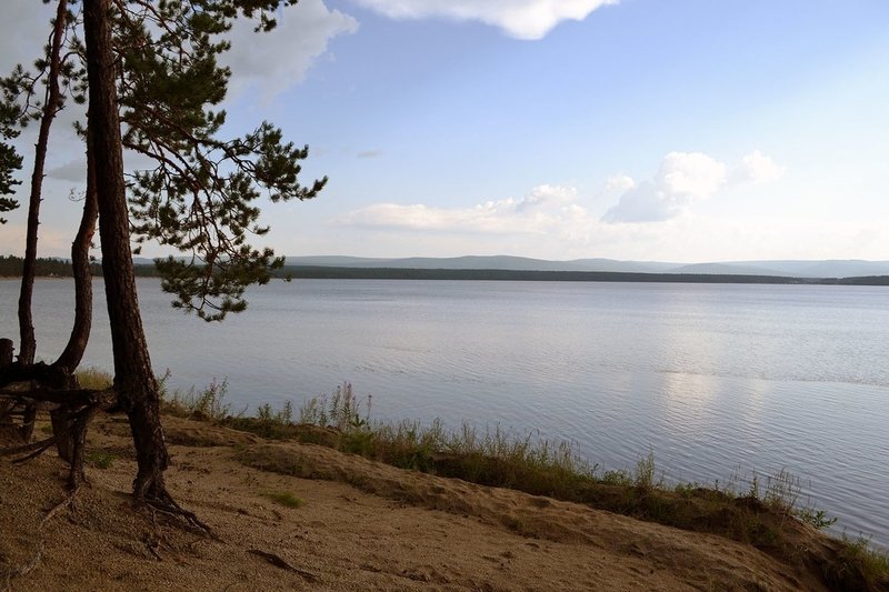 Роман Шадрин