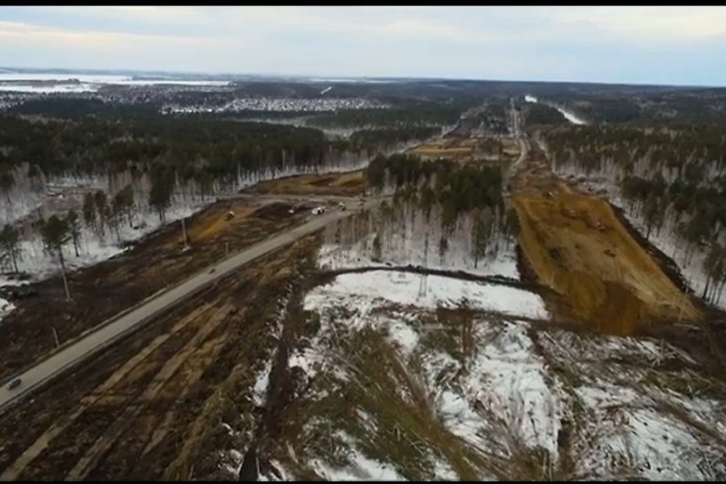 Более 600 КамАЗов леса срубят из-за строительства участка Байкальского тракта в Приангарье