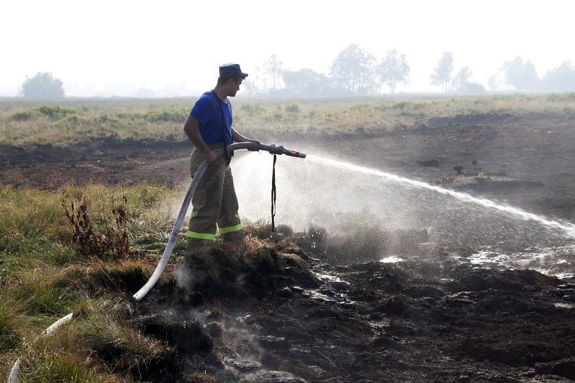 Торфяной пожар на 800 кв. метрах выявили в 6 км от посёлка в Иркутском районе