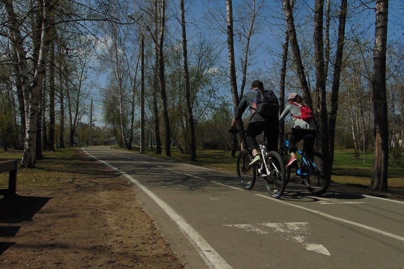 Иркутяне оборжали «единственную в городе» велодорожку – обзор соцсетей