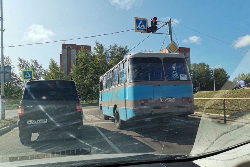 Автобус сбил 81-летнюю бабушку на «зебре» в Краснокаменске