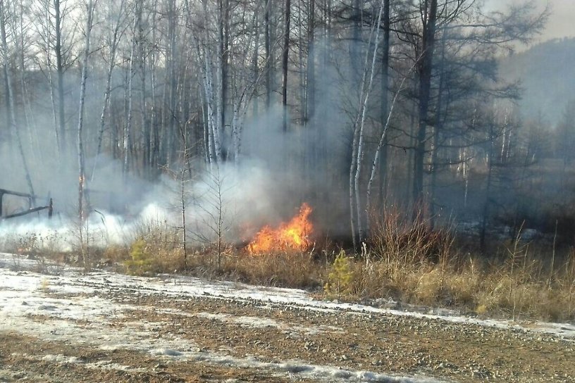 Диспетчерская служба Забайкалья назвала пожары в регионе контролируемыми отжигами