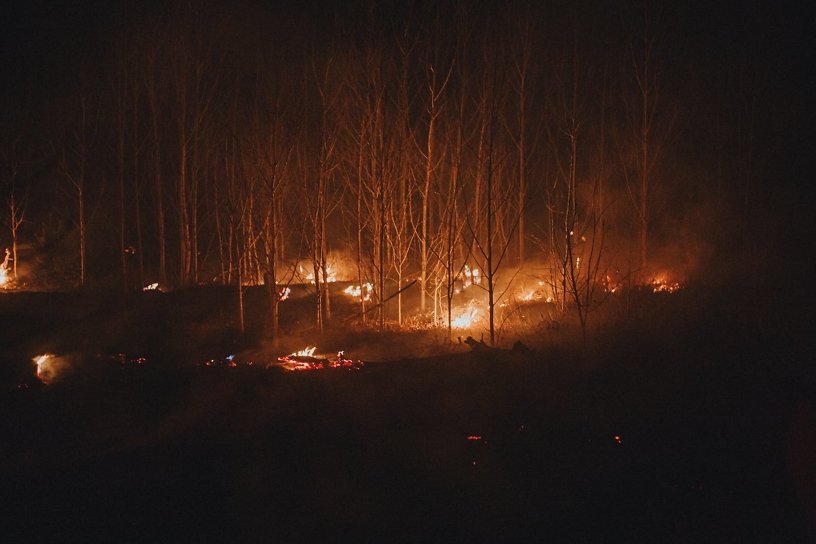 Площадь лесных пожаров в Иркутской области за сутки выросла в 7 раз – почти до 8 тыс. га