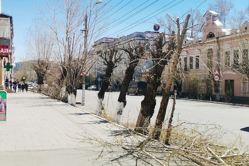 ДМРСУ обрезало ветви деревьев, закрывавшие обзор камерам наблюдения на Амурской в Чите