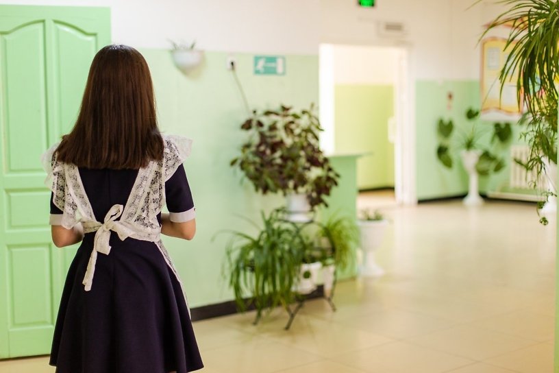 Около 20 учеников школы №2 в Чите заболели с подозрением на ротавирусную инфекцию