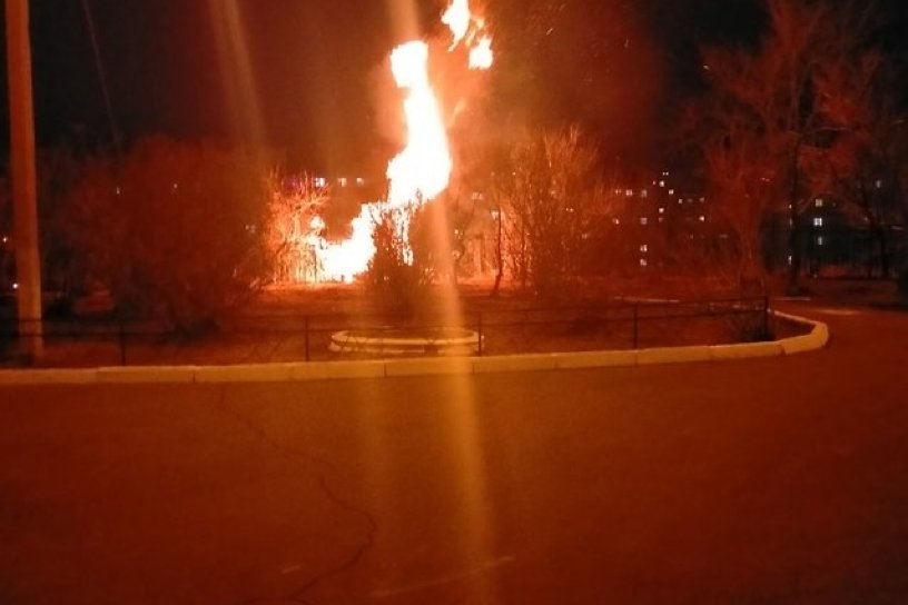 Добровольцы-студенты предотвратили пожар около гимназии на улице 9-го Января в Чите