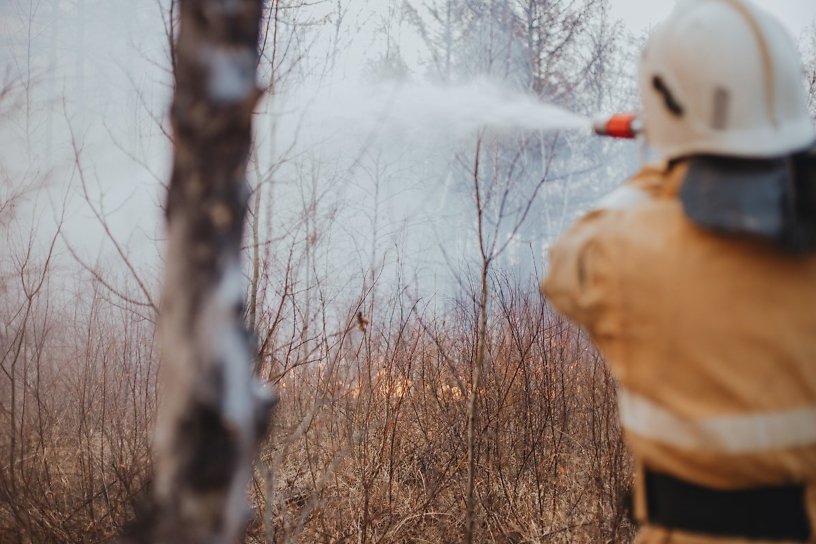 Первый лесной пожар зарегистрировали в Иркутской области