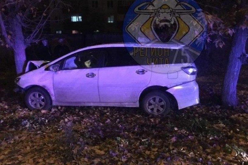 ГИБДД подтвердила погоню за водителем, врезавшимся в дерево в Чите