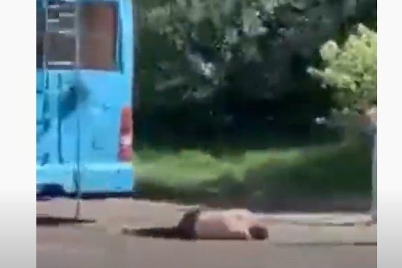 Полуголый неадекватный мужчина в Чите забрался на троллейбус и упал с него