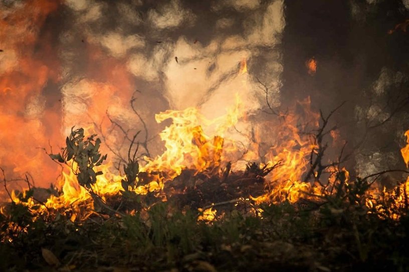 Площадь лесных пожаров в Иркутской области за сутки выросла почти в 1,5 раза