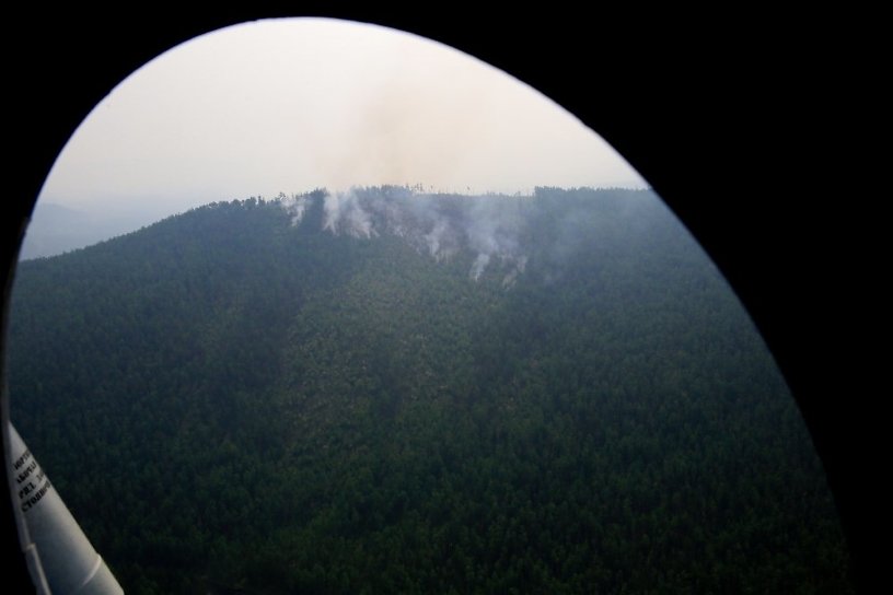 Площадь лесных пожаров в Иркутской области за сутки снизилась почти в 2 раза