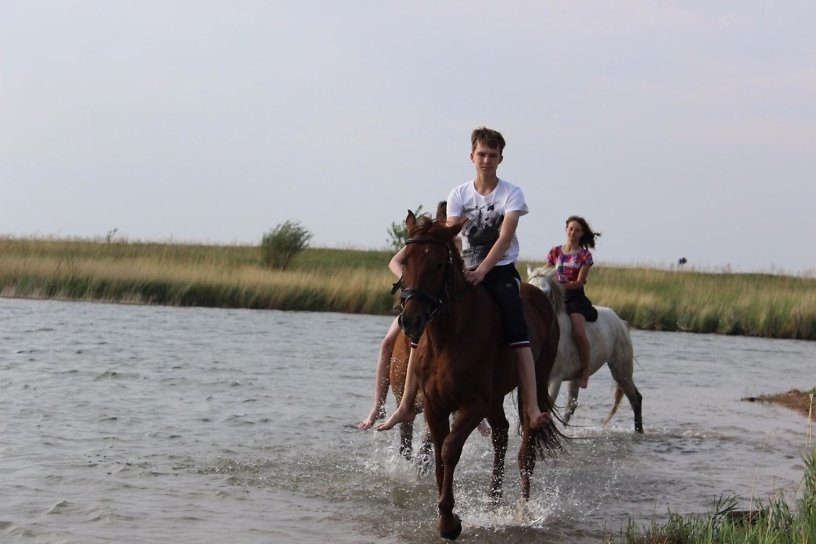 Жительница Краснокаменска заявила о напавшем с камнями на детей во время конной прогулки