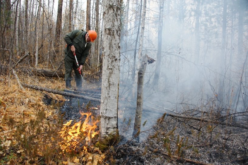Площадь лесных пожаров за 3 часа увеличилась почти в два раза в Забайкалье