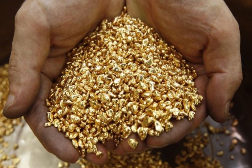 Житель Шилки за 1,5 года незаконно добыл золото на 8 млн р.