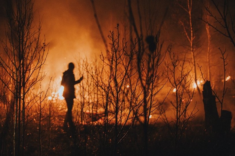 Площадь лесных пожаров в Иркутской области снизилась впервые за неделю, — до 26,8 тыс. га