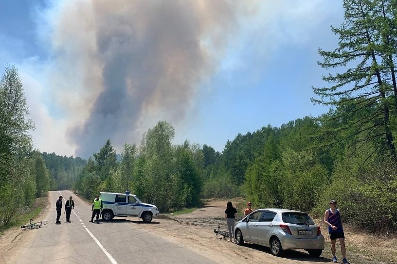 Лесной пожар действует возле Молоковки в Чите, полицейские перекрыли дорогу