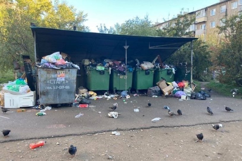 Кошелев заявил, что мусор в Чите вывозят исправно — жители накидали ему сотню адресов