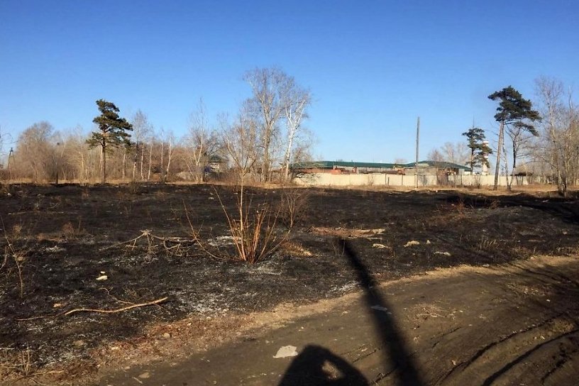 Двое мальчиков 6 и 8 лет подожгли пустырь рядом с жилыми домами в Ангарске