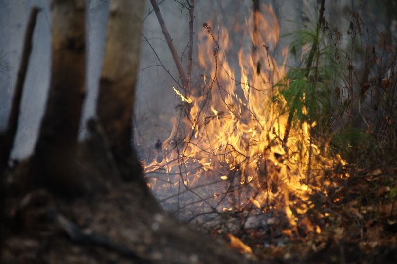 Два лесных пожара ликвидировали в Иркутской области за прошедшие сутки