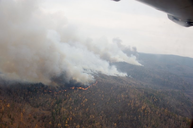 Усть-Илимск и 80 посёлков попали в зону задымления от лесных пожаров в Якутии и Приангарье