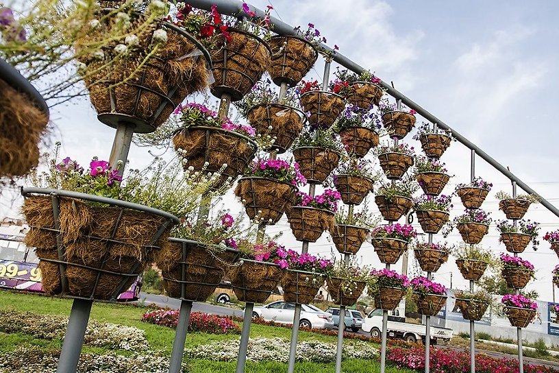 ДМРСУ высадит цветы на клумбах Читы до 25 июня 