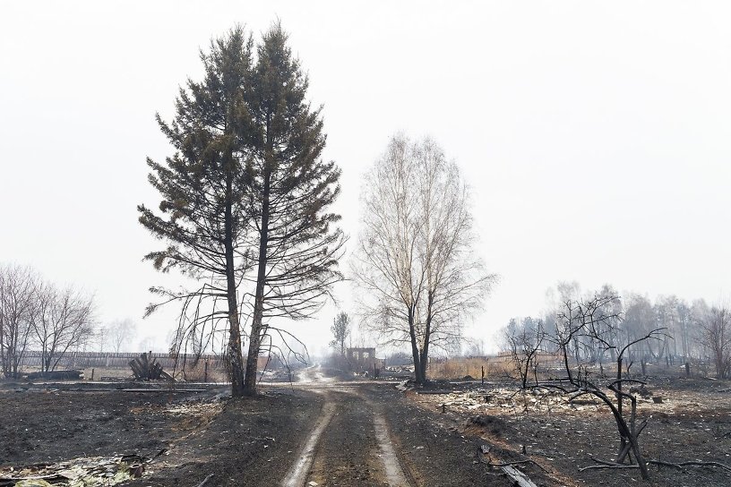 Пожар в 32,5 тысячи га потушили в Катангском районе Иркутской области