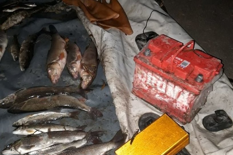 Двум забайкальским рыбакам грозит до 5 лет колонии за рыбалку электроудочкой
