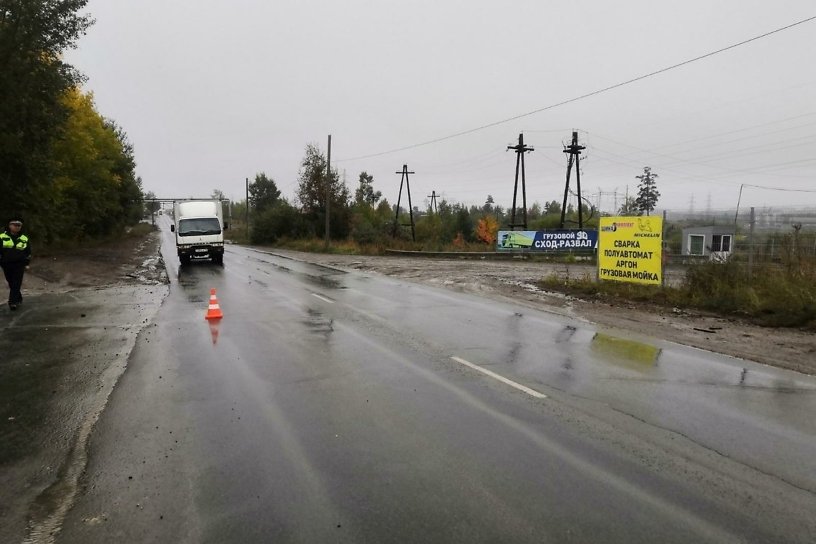 Полиция ищет водителя, сбившего насмерть 72-летнего пенсионера в Братске