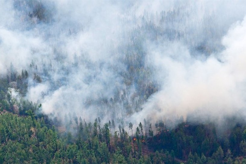 Приангарье поднялось на 3-е место по площади лесных пожаров в РФ