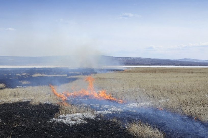 Подросток в Забайкалье устроил степной пожар в котором погибли 60 лошадей