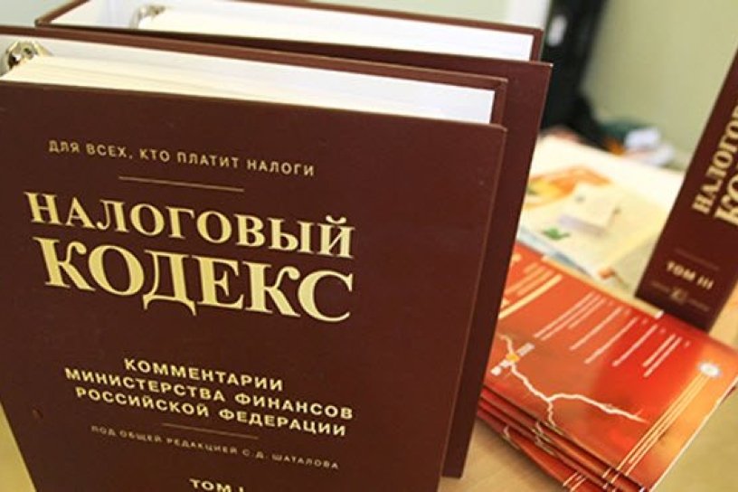 Эксперт «Опоры России» раскритиковала идею цифровизации налоговой системы в Забайкалье