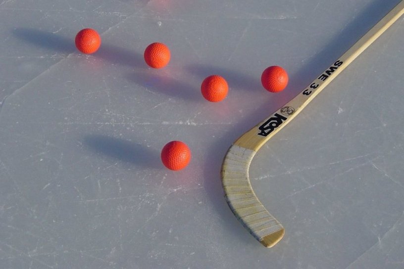 Областная школа по хоккею с мячом откроется в Иркутске 9 января