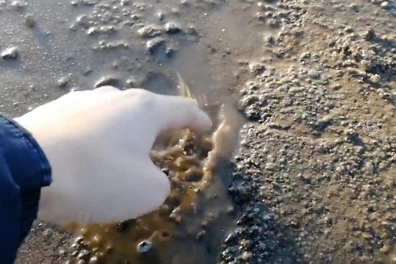 Дорожники закрыли ямы на трассе песком и залили их водой под Краснокаменском