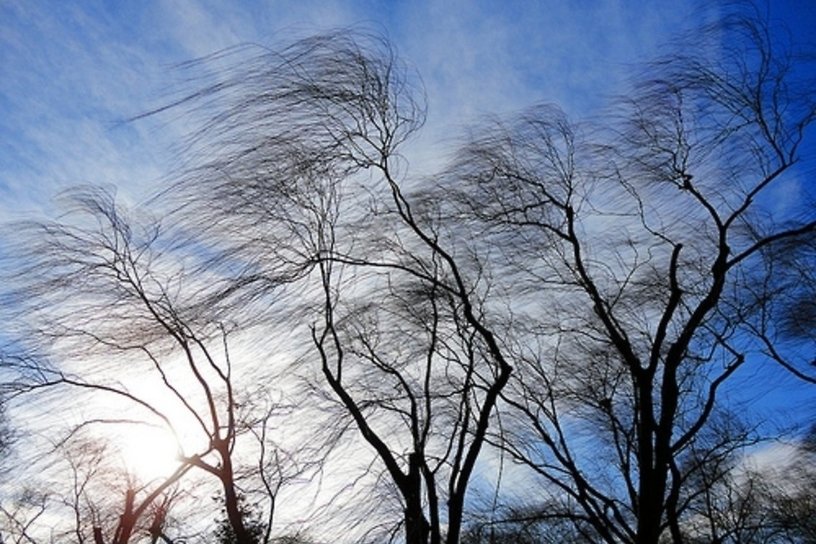 Сильный ветер до 20 м/с ожидается в Забайкалье 13 апреля