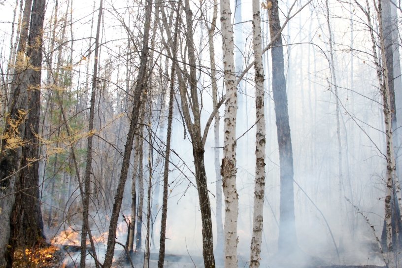 Пожарные локализовали лесной пожар в Песчанке – Гурулёв