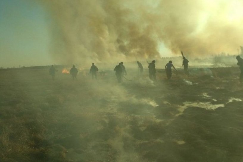 Четверо подростков устроили пожар на поле между Читинкой и Добротным - очевидец