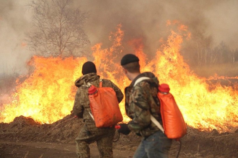 Лесной пожар, из-за которого ввели режим ЧС в Нижнеилимском районе, удалось локализовать