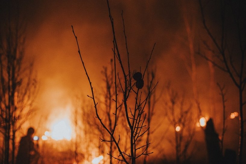 Площадь лесных пожаров в Приангарье за сутки выросла почти в 3 раза – до 1,7 тыс. га