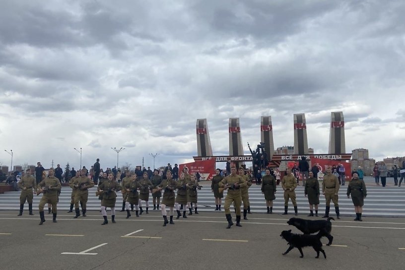Бродячие собаки мешали песням ансамбля «Забайкальские казаки» на мемориале в Чите