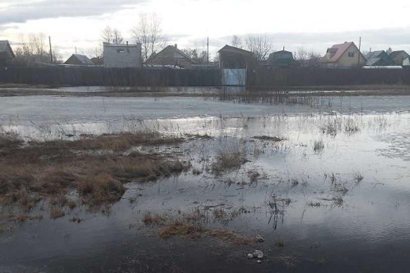 Подтопление участков произошло в деревне Иркутского района из-за весеннего половодья