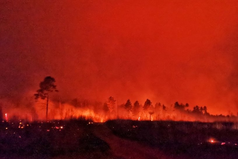 Замминистра природных ресурсов Забайкалья: Все годы боролись не с теми причинами пожаров 