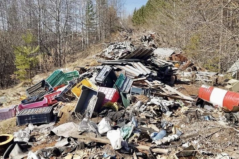 Незаконную свалку мусора в лесу Братска убрали после вмешательства прокуратуры