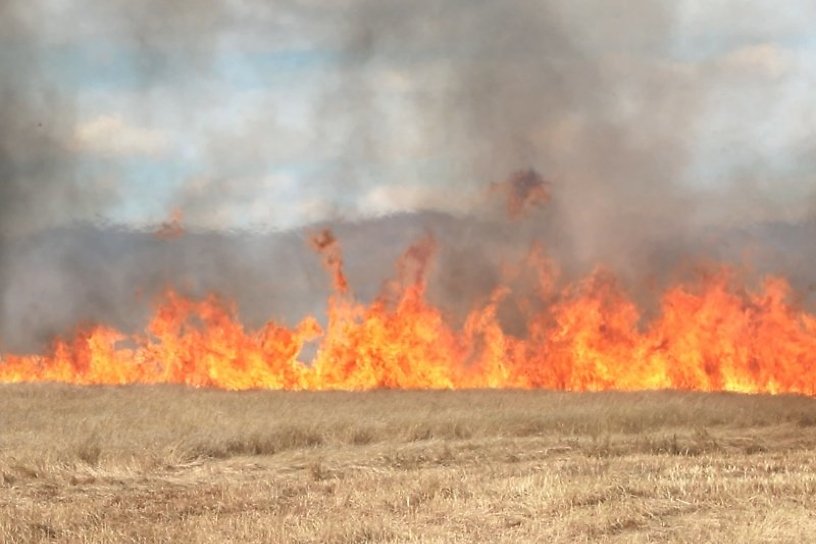 Пожарные потушили горящую траву недалеко от мемориала Халхин-Гол в Чите