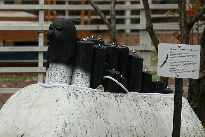 Скульптуру нерпы из переработанного пластика установили в Иркутске