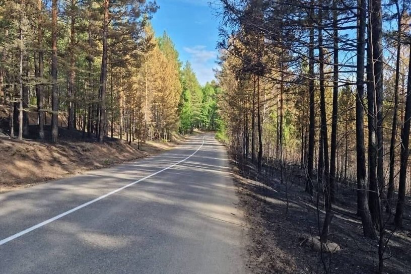 Пропавшего в лесу в Иркутском районе 28 июня 15-летнего подростка нашли живым 
