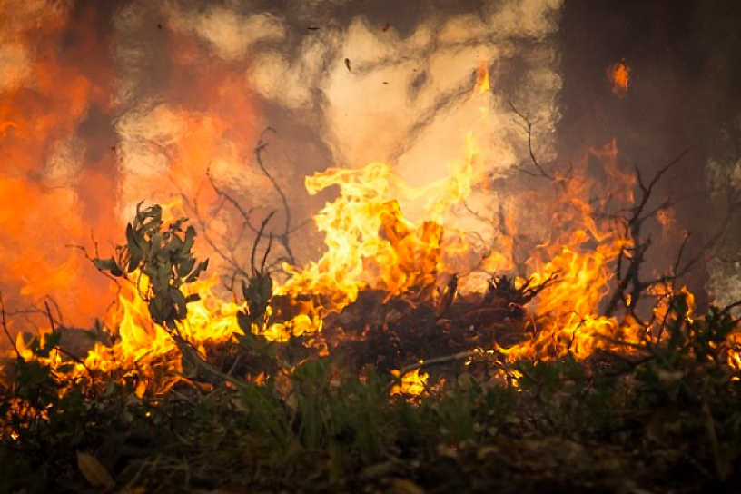 Трава горит на 740-м километре федеральной трассы «Амур» — огонь подходит к лесу