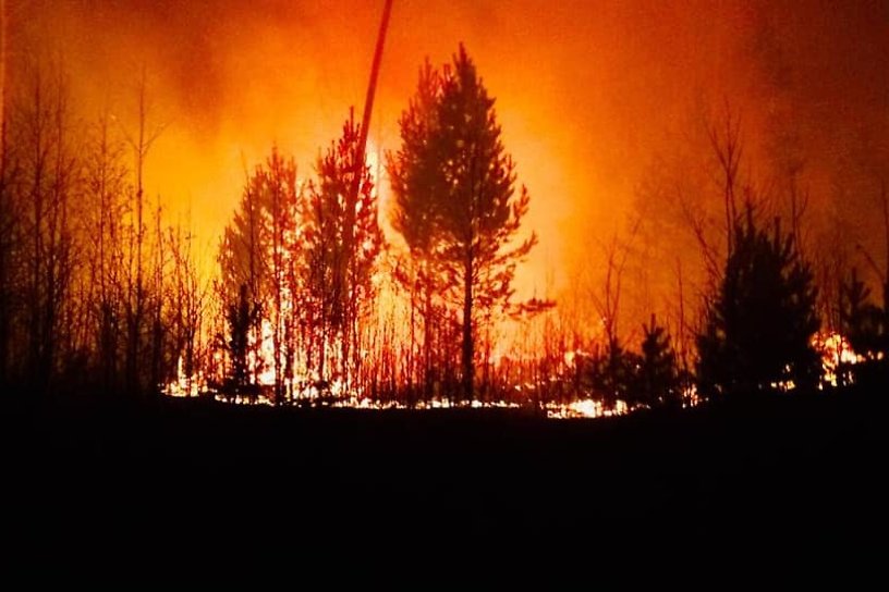 Площадь лесных пожаров в Иркутской области за неделю выросла на 35%